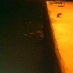 サビキ釣りでイワシ、子アジ狙い