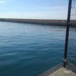 ノンビリちょい投げ