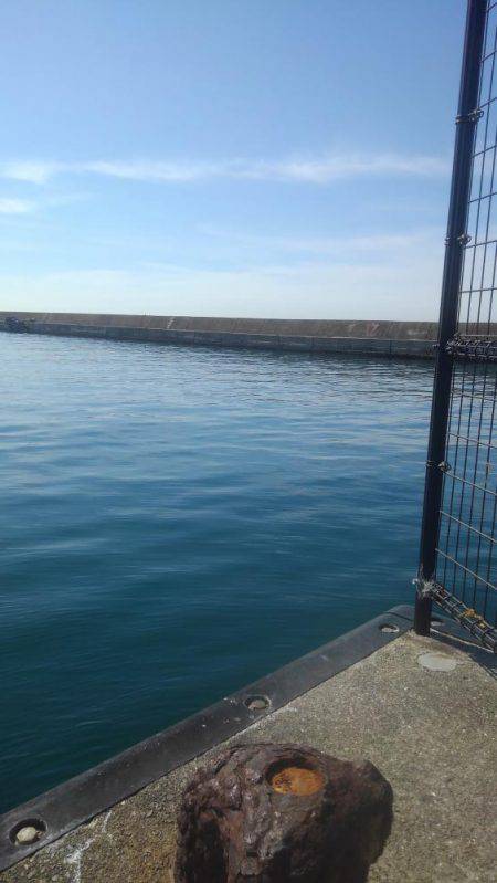 ノンビリちょい投げ