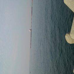 ちょい投げキス釣り