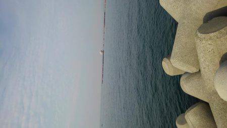 ちょい投げキス釣り