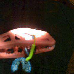 アジングのちツバス