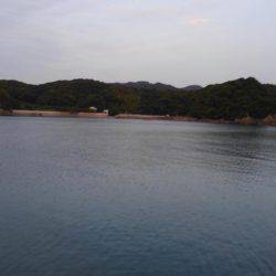 ファミリーフィッシング