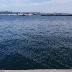 エソとタチウオを求めて!