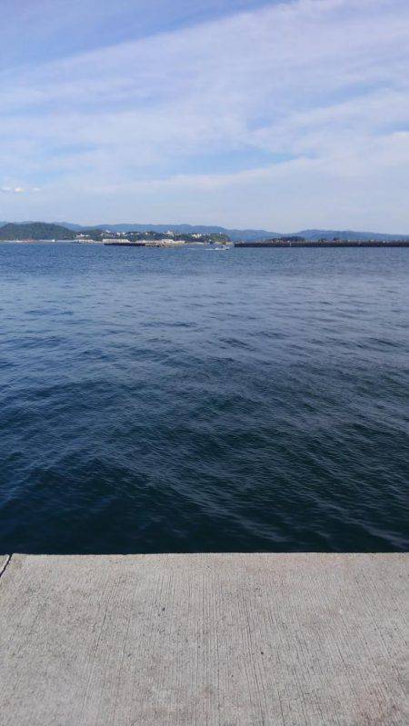 エソとタチウオを求めて!