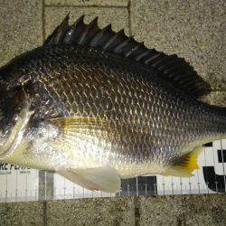 型も数もイイ感じでした！