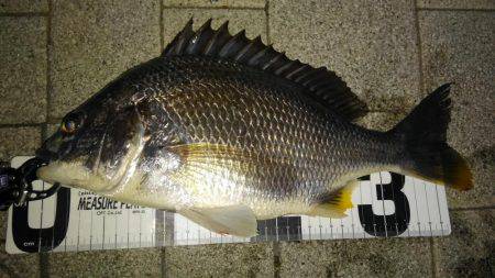 型も数もイイ感じでした！