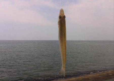 エギングの帰りに