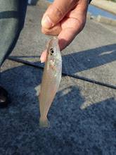 またまた、キス狙い。