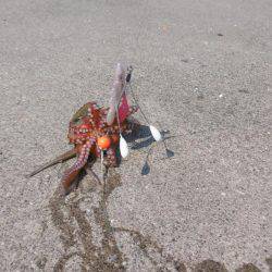 今年はハズレ年？