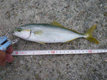 超サイズダウン