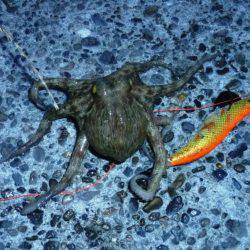 仕事帰りにちょっと…