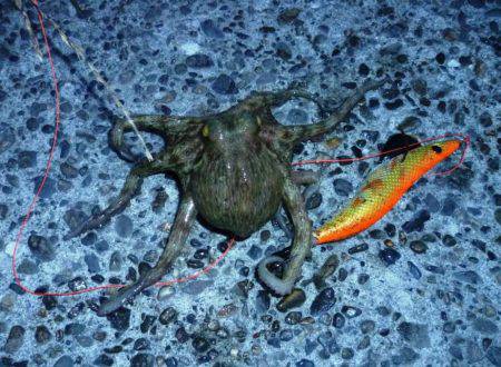 仕事帰りにちょっと…