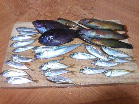 豆アジ＆ベラゲット！