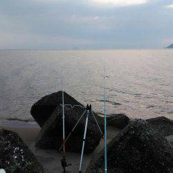 ちょい投げでキス狙い