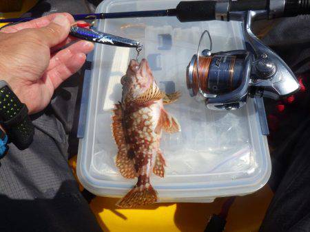 タイラバ、ジギング等々