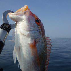 ジギング等いろいろ