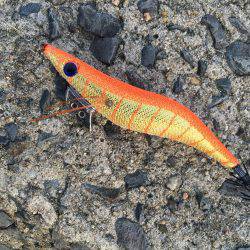 念願の！！…？