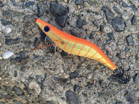 念願の！！…？