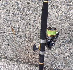 ツバスいました。