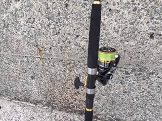 ツバスいました。