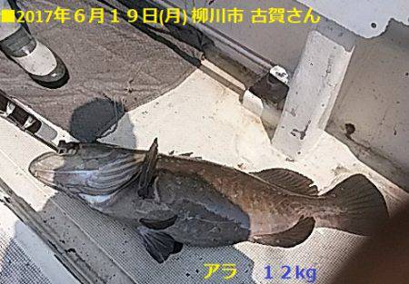 【光義丸：2017年６/１９(月) 最新大…