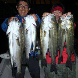 TOPGUN名古屋 釣果