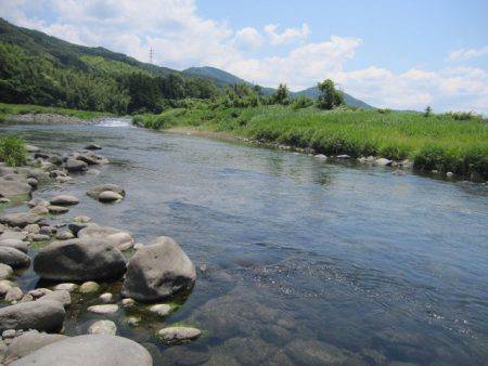 狩野川(狩野川漁業協同組合) 釣果
