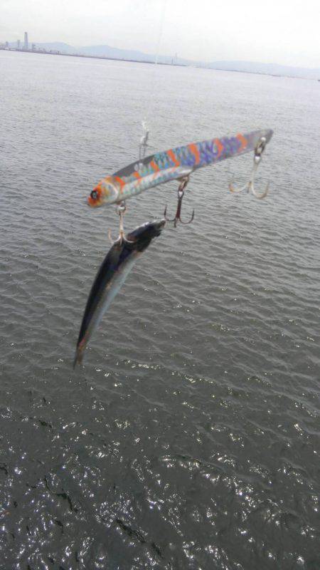 ブリチャレンジ