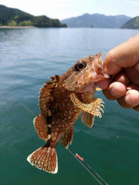 引本市場前にて