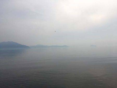 型はデカいが気難しい近江今津のコアユ