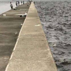 ん？ツバスは？