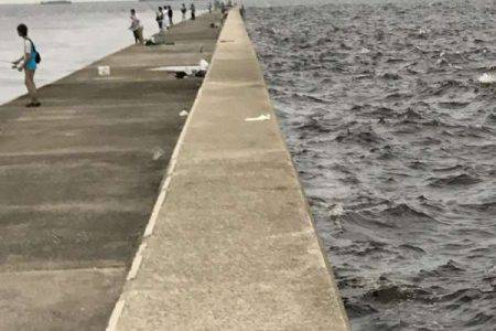 ん？ツバスは？