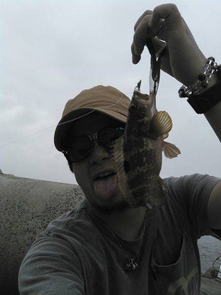 ガシラキジハタハゼ