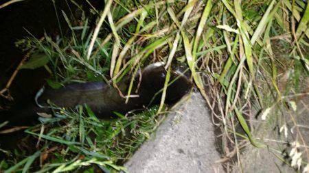 空いた時間で短時間の釣り