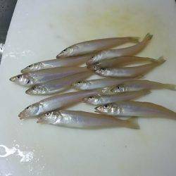 荒れ後のキスはやはり低活性