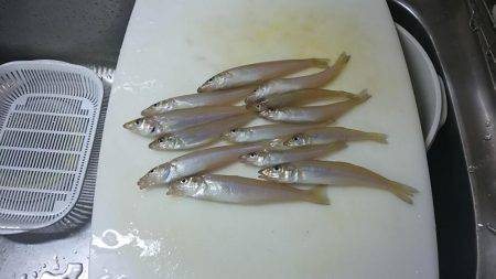 荒れ後のキスはやはり低活性