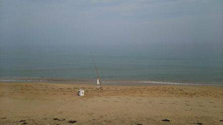 丹後でキス釣り(小型多し)