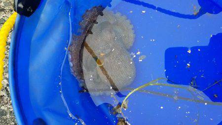 久しぶりの釣り