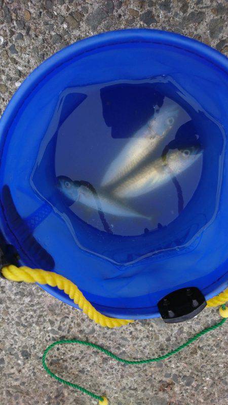 南芦屋浜ベランダ