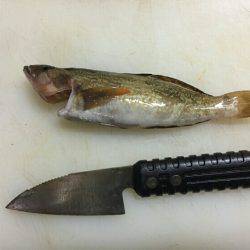 大荒れ後の。。。