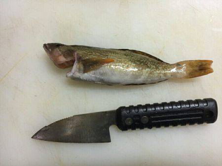 大荒れ後の。。。