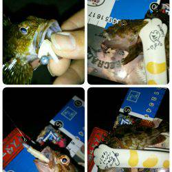 ６月９日はロックナイト？(笑)