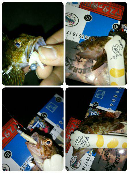 ６月９日はロックナイト？(笑)