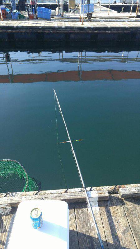 釣り堀　岬にて。