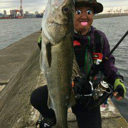 銀物やけど何か?