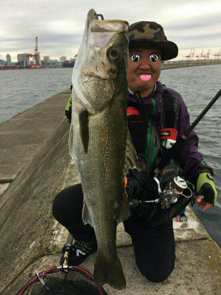 銀物やけど何か?