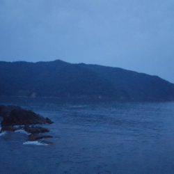 7連敗からの1杯