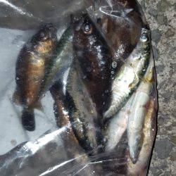 アジメバリング