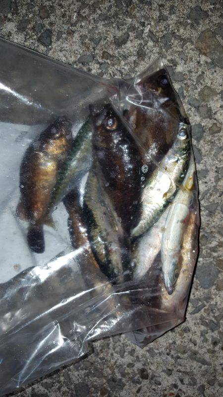 アジメバリング